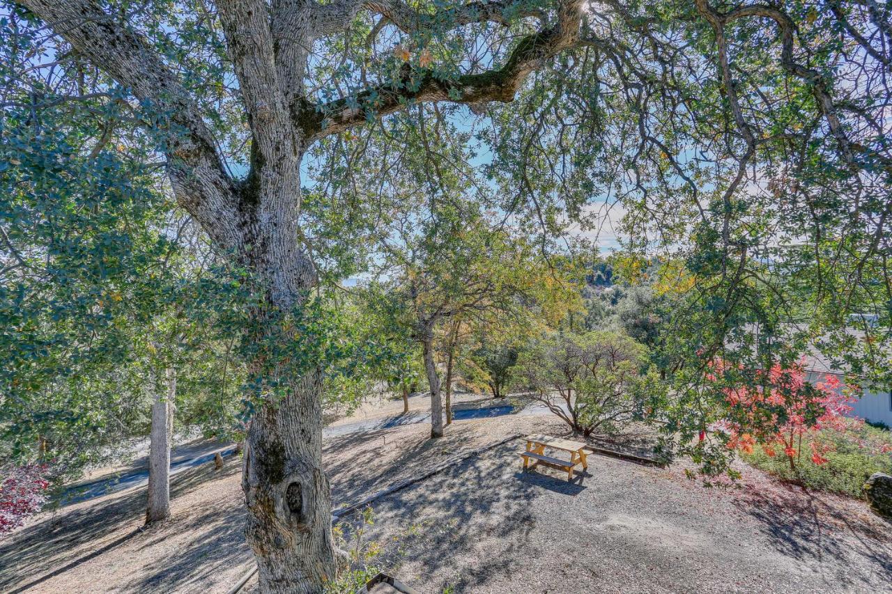 Cozy Studio With Well-Being Retreat Near Yosemite! Ahwahnee Exterior foto